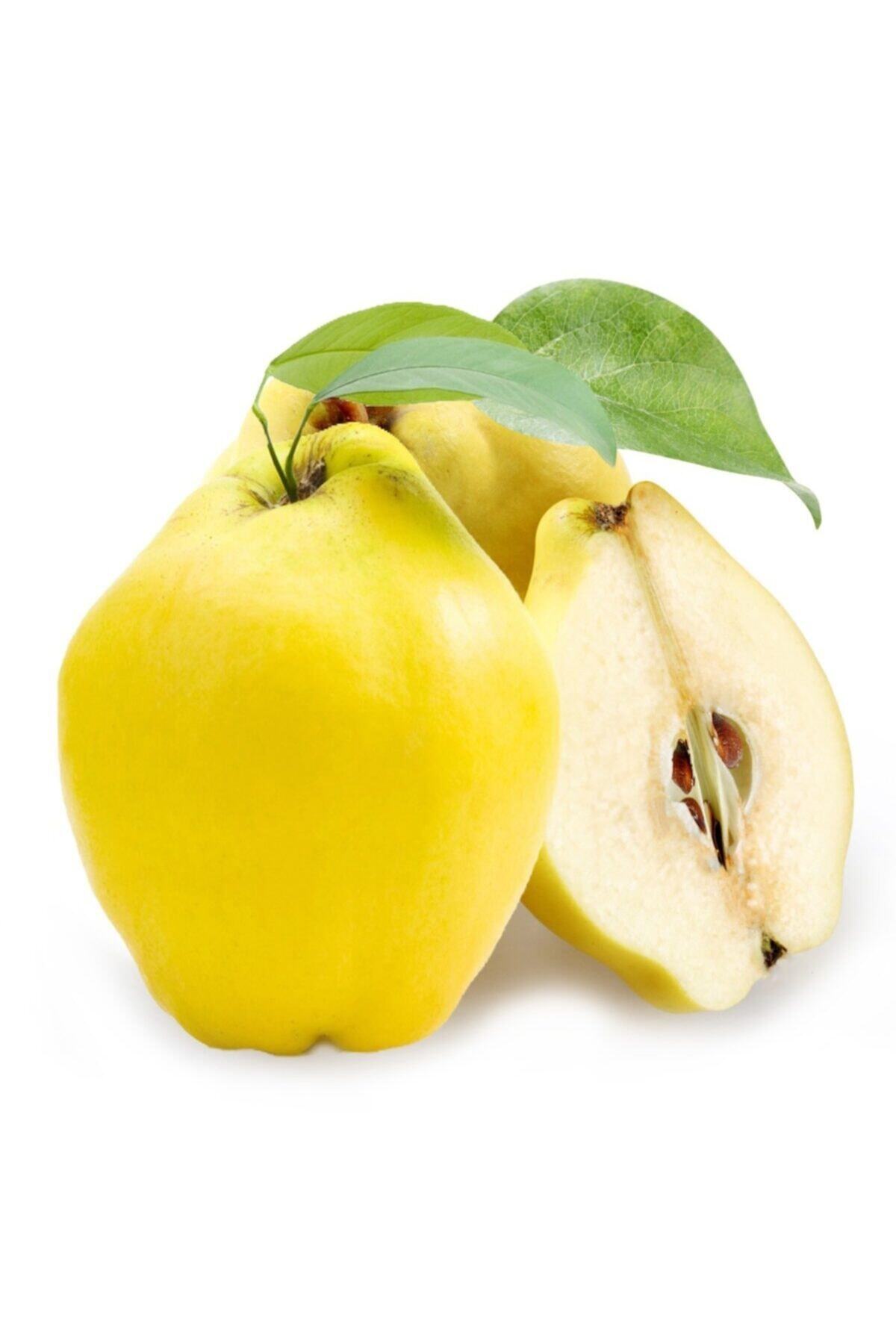 antalyasebzemeyve Ayva 1 Kg