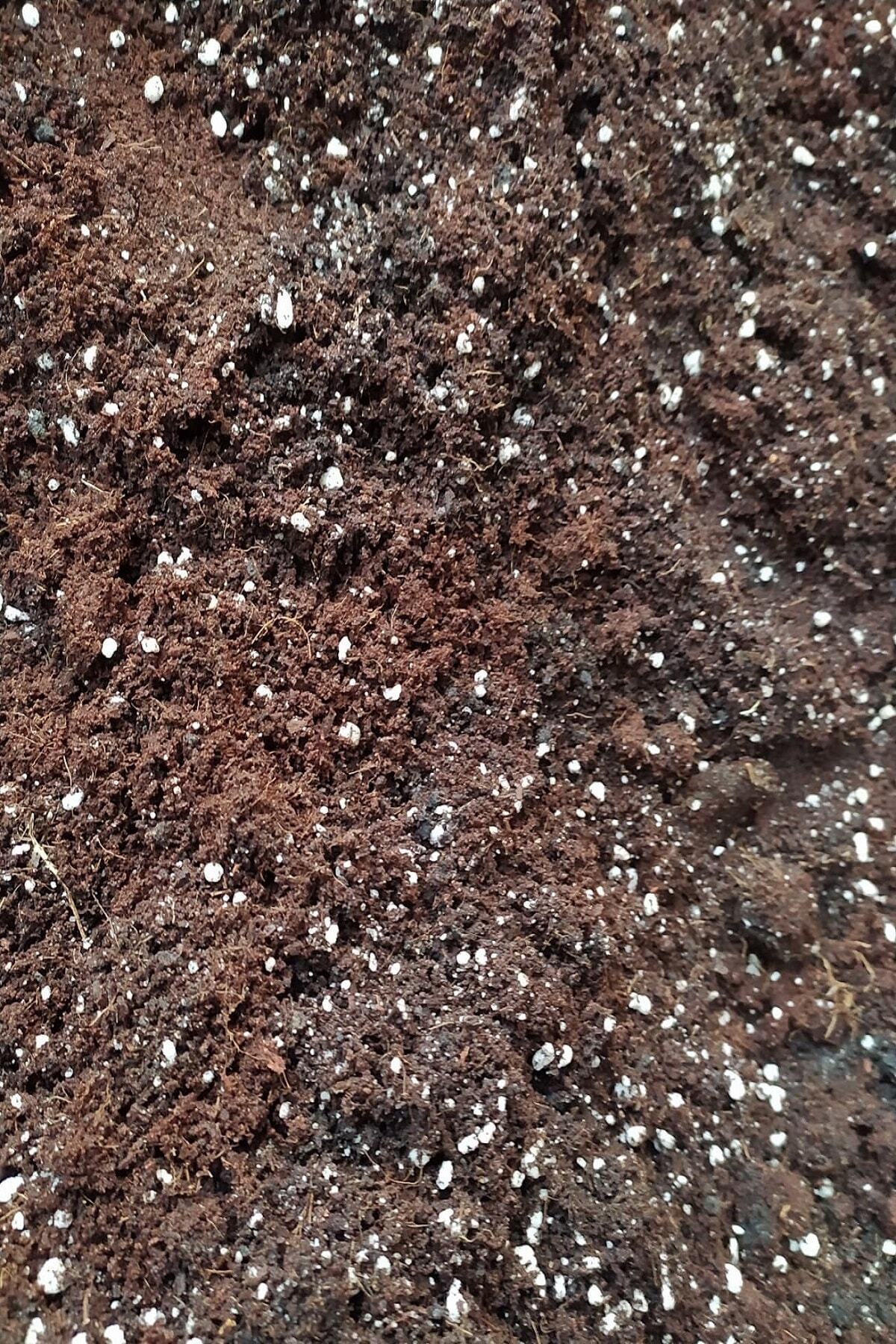 Gençalp Ucuzluk Pazarı Torf Toprağı Perlit Katkılı3 Litre