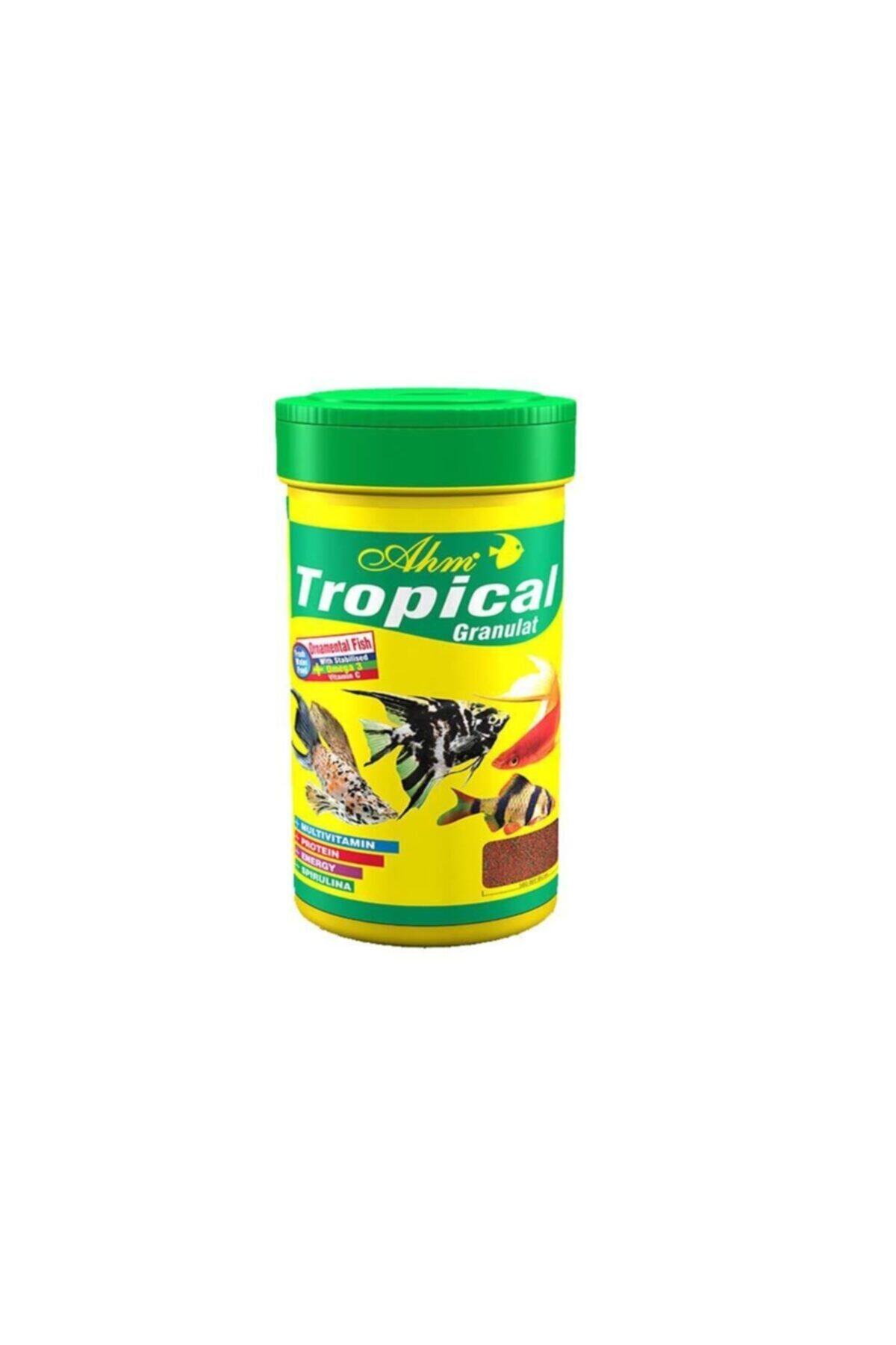Ahm Tropical Granulat Food Tropikal Balık Yemi 250ml