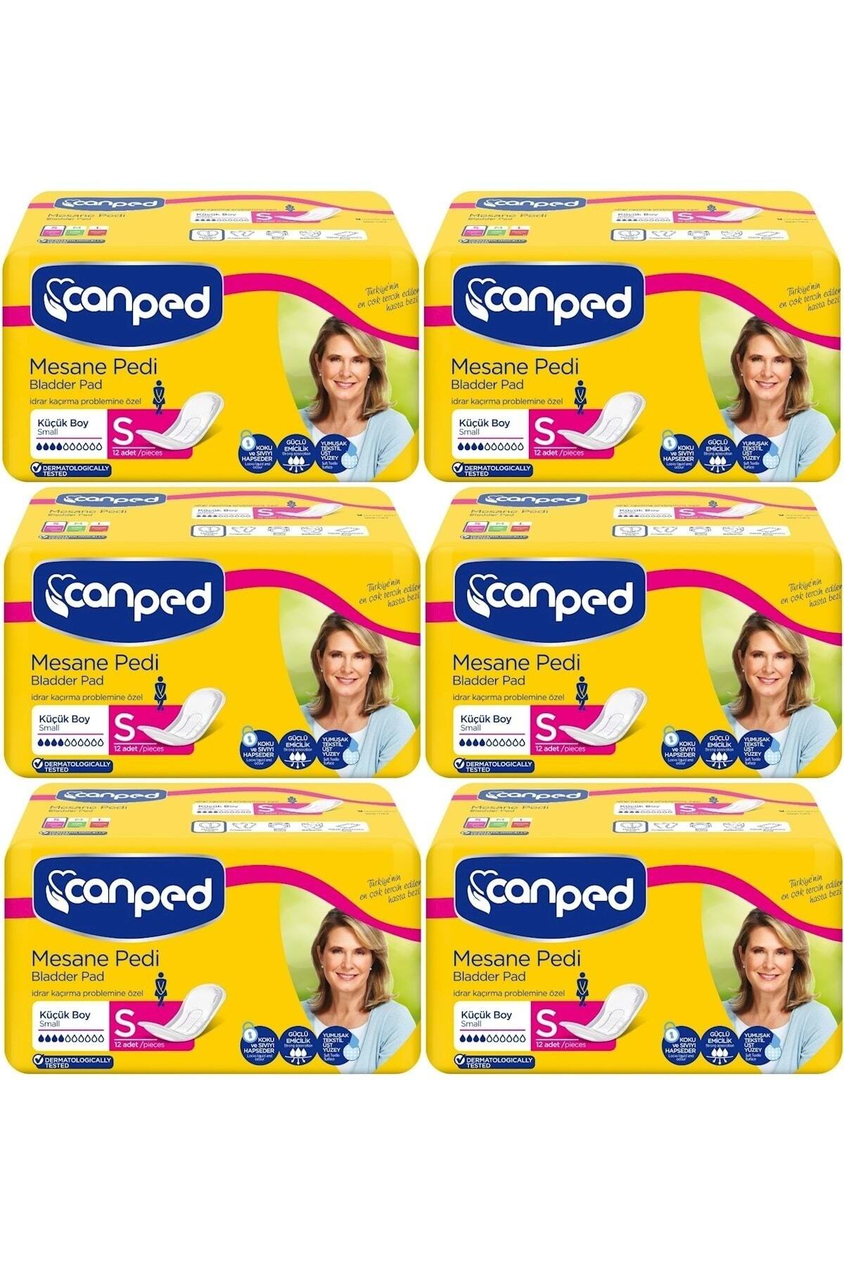 Canped Mesane Pedi Klasik S-küçük Boy 72 Adet (6pk*12)