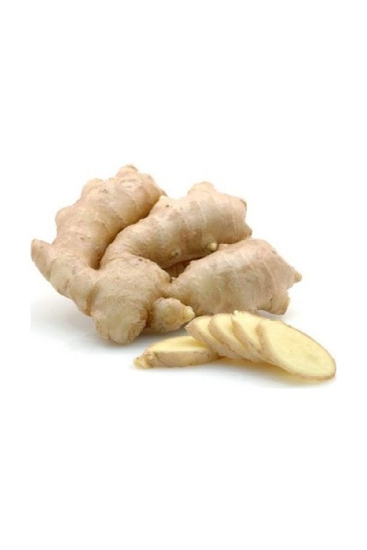 Lokman Herbal Vital Taze Zencefil Kök Yaş 500 Gr