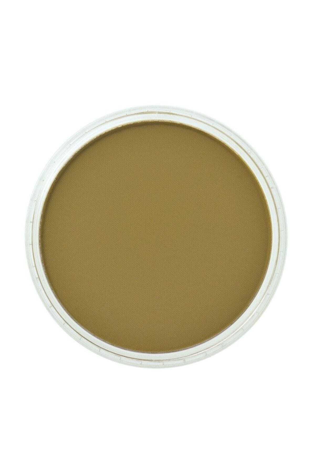 Panpastel No:250.1 Diarylide Yellow Extra Dark