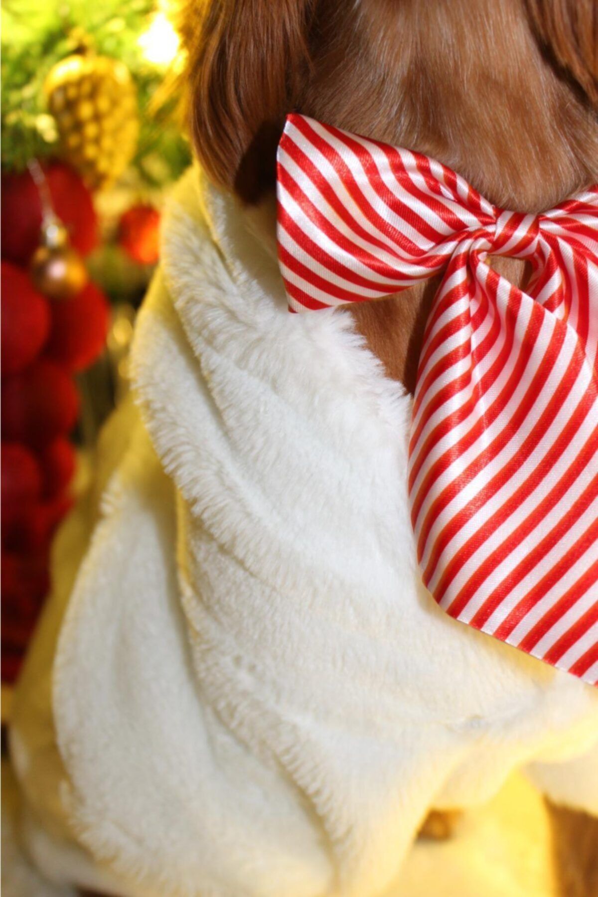 Liber Home Beyaz Peluş Köpek Kıyafeti
