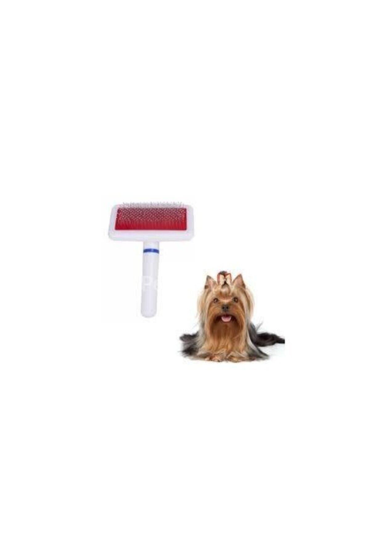 PETQUATRO Kedi Köpek Tarama Fırçası Telli Pire Tarağı Tüy Toplama
