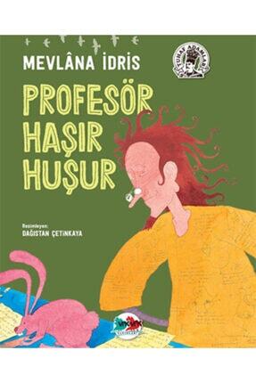Profesör Haşır Huşur Image 0