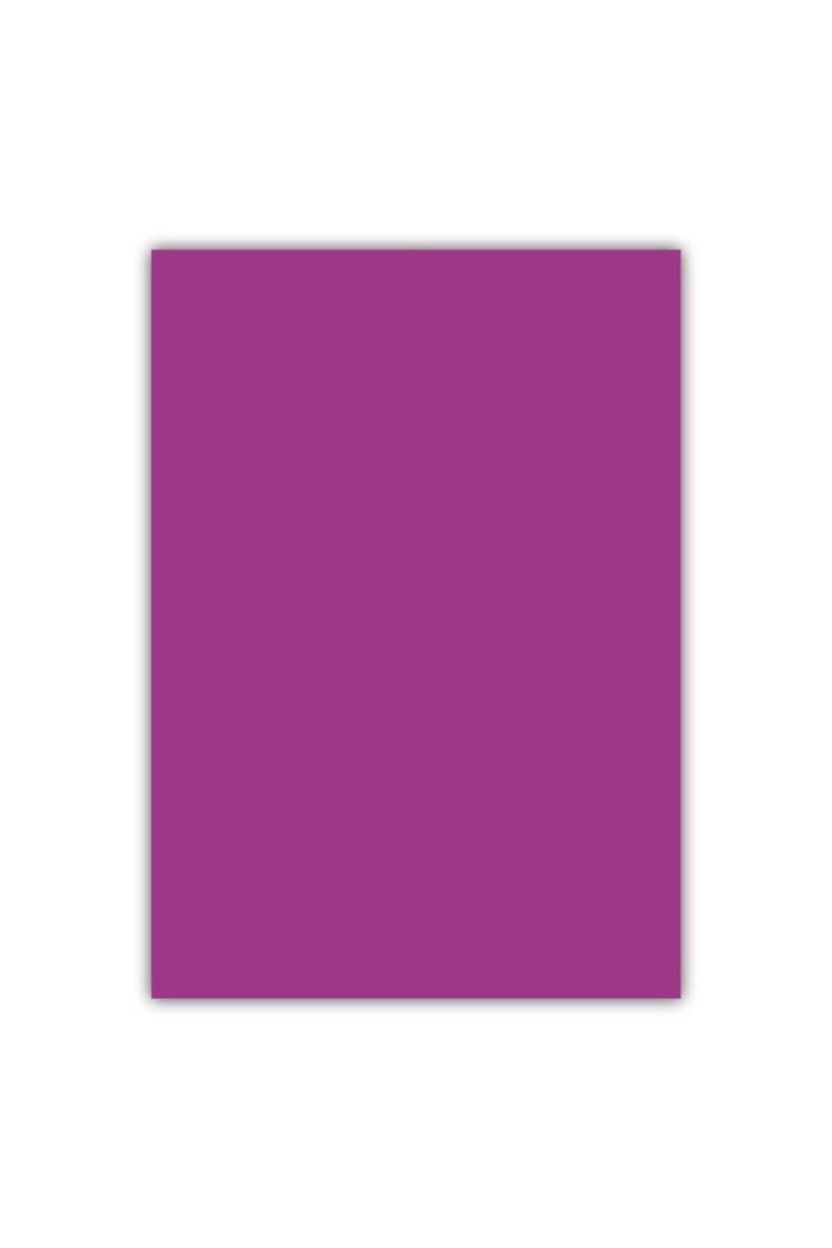 Bigpoint Cılt Kapagı A4 Opak Mor 100'lu