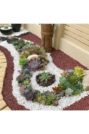 Beyaz Taş 2 Kg 1-2 Cm Beyaz Dolomit Taş Dere Taşı Çakıl Taşı Bahçe Süs Taşı Akvaryum Teraryum Taşı Image 1