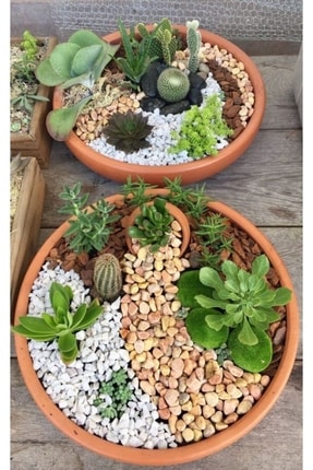 Beyaz Dolomit Taş 5 Kg 1-2 Cm Dere Çakıl Taşı Saksı Taşı Akvaryum Teraryum Taşı Bahçe Taşı 20no.3m Image 2