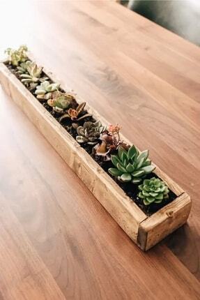 Ahşap Aranjman Sukulent Dekoratif Uzun Ince Saksı Long Natural 50x5x5 Açık Renk Image 0