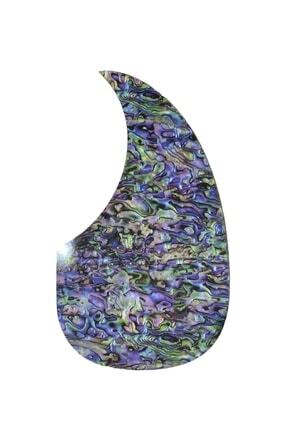 Pena Korumalığı Gitar Image 0