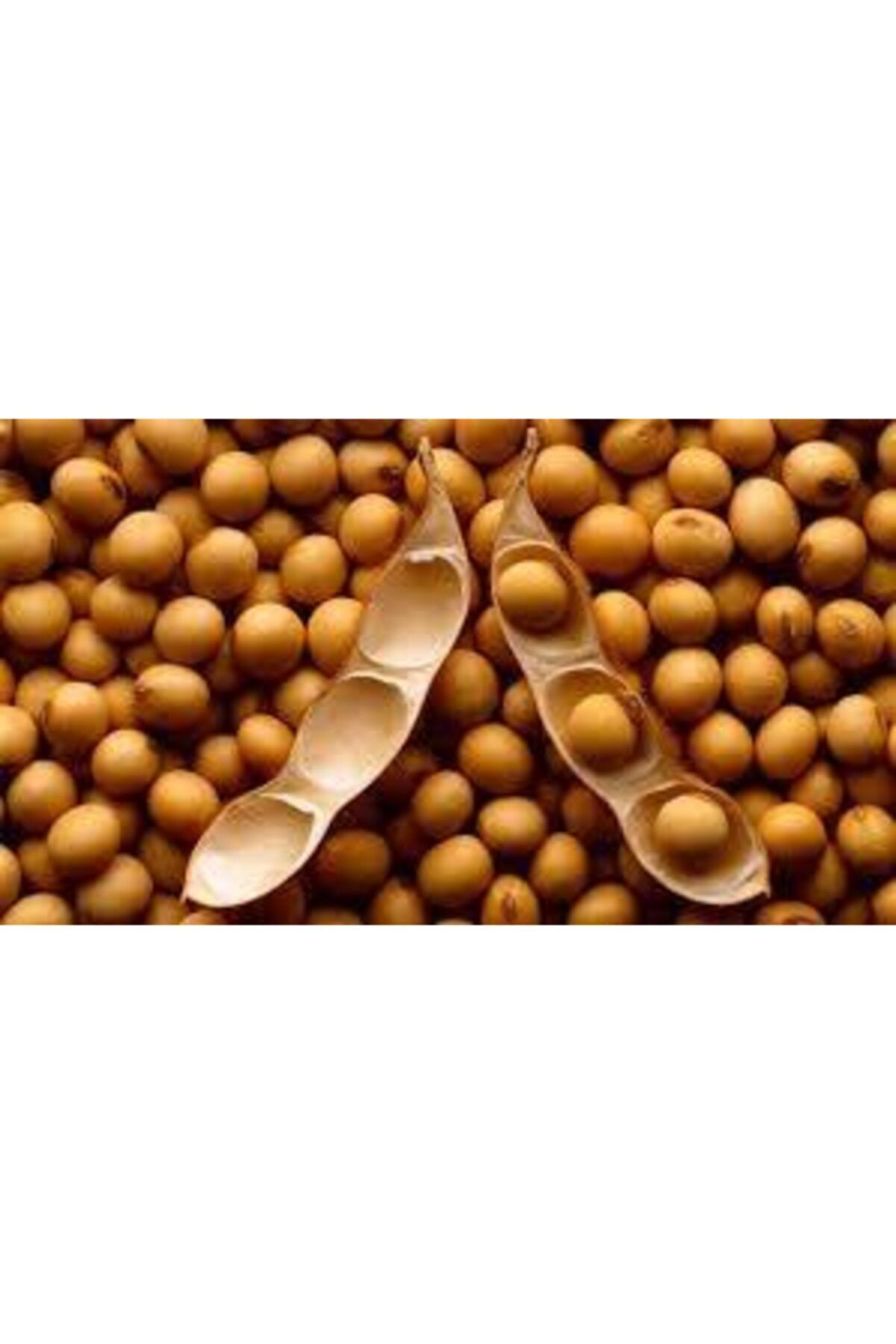 Doğa Evi Soya Fasulyesi  4 kg