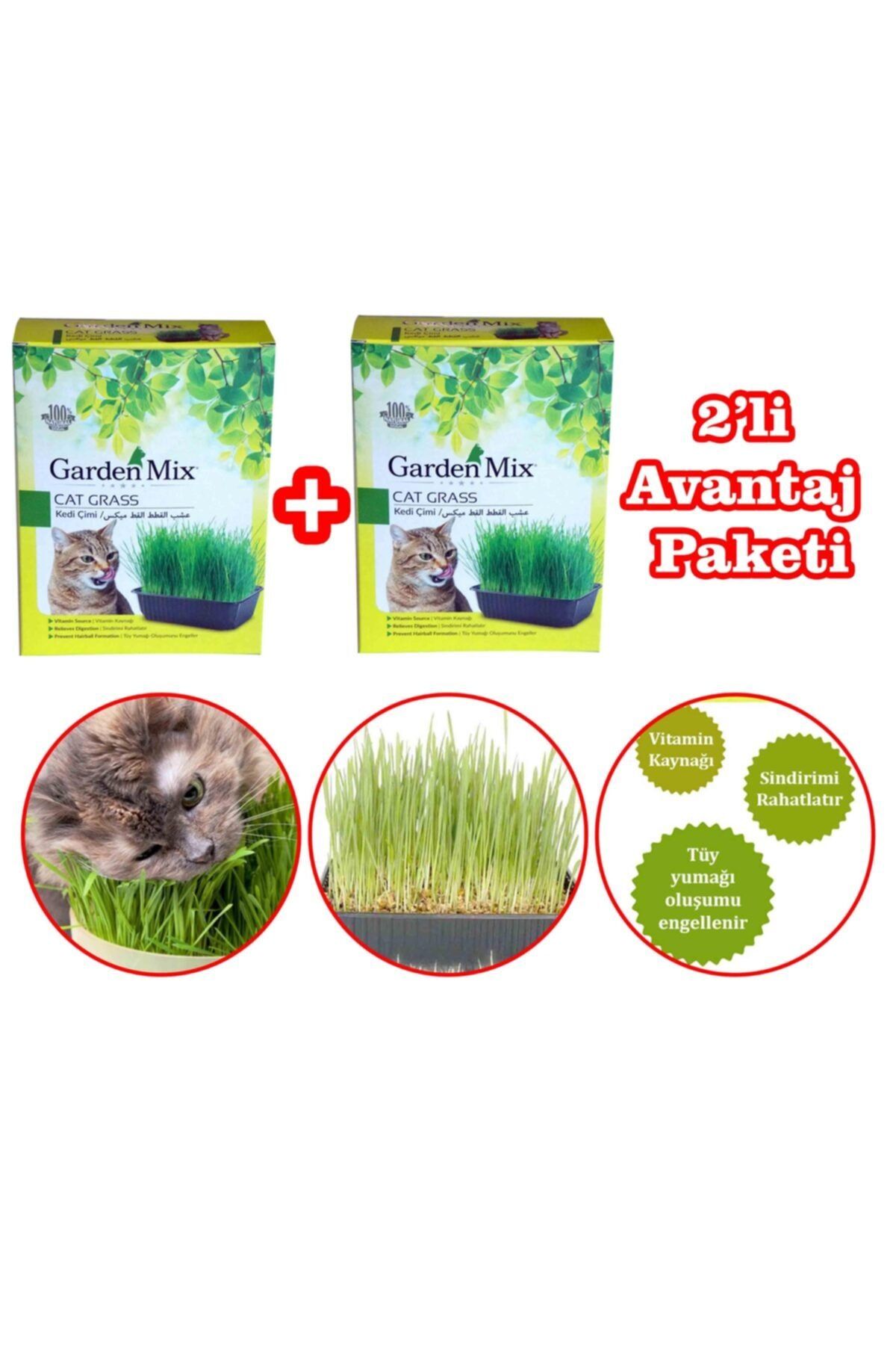 Gardenmix Büyük Kutu Kedi Çimi 2'li Paket