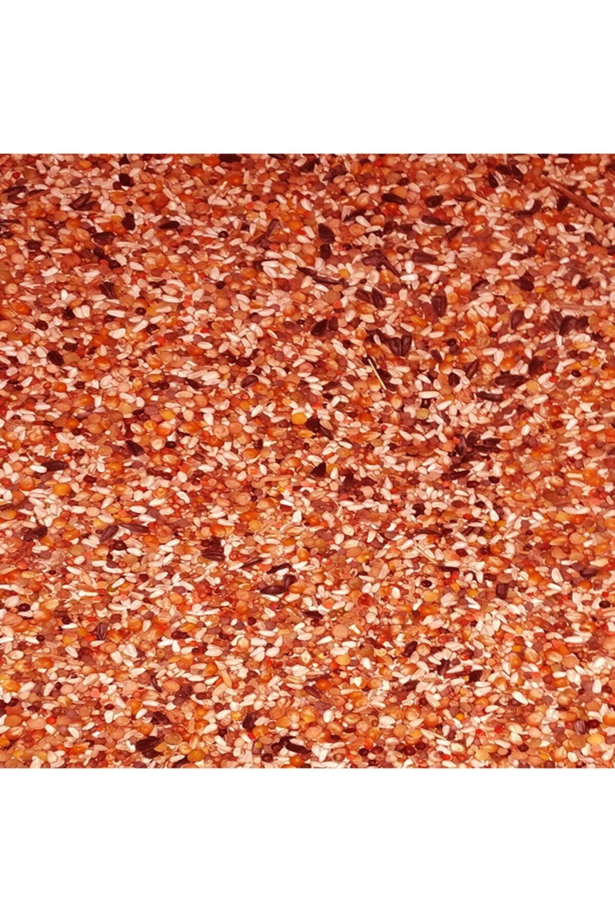 Deneme Zamanı Güvercin Ve Muabet Kuş Yemi Vitaminli 5kg