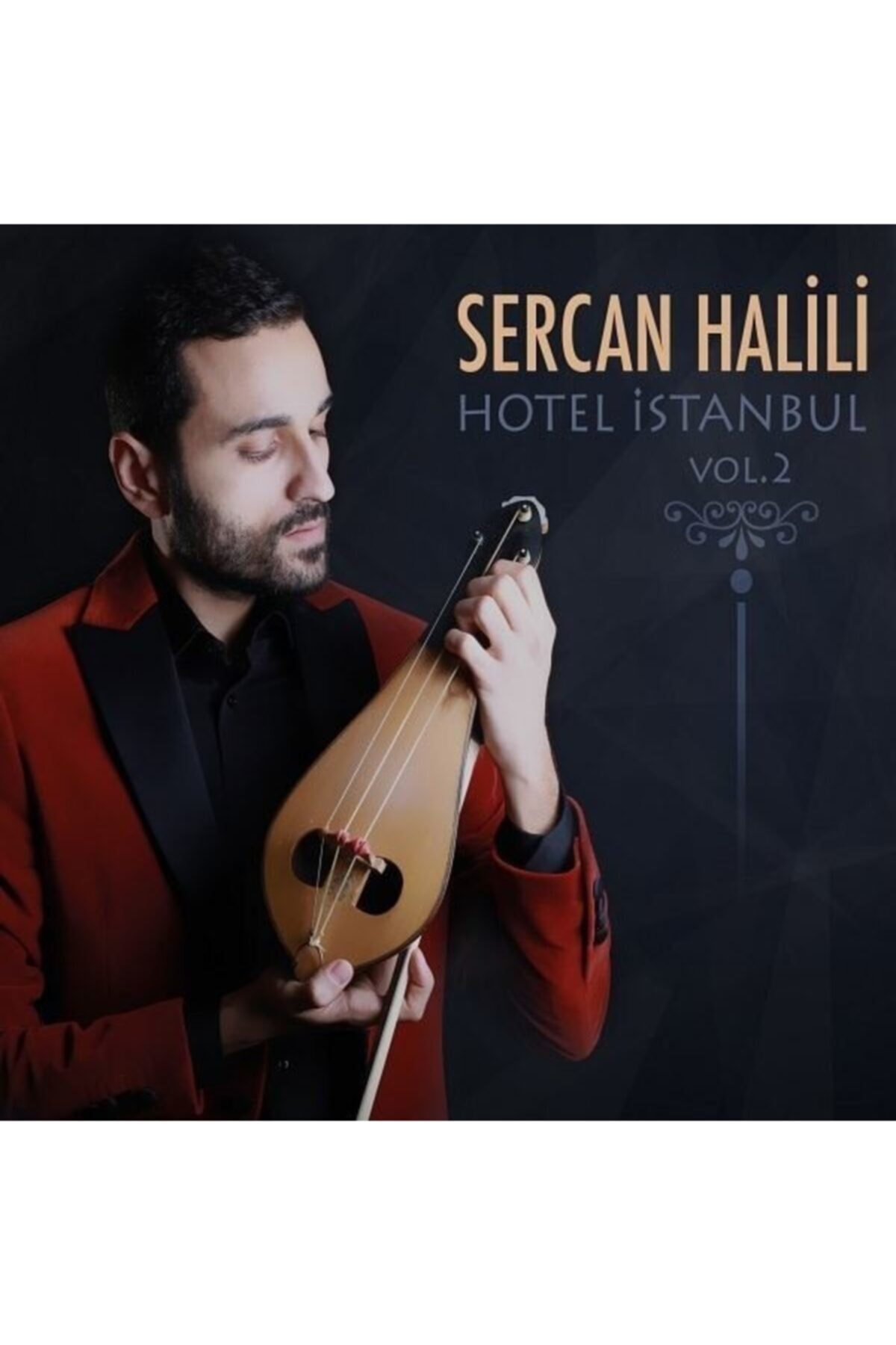 Ak Müzik Hotel Istanbul Vol.2
