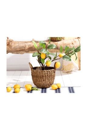 Karaca Home Lovage Kirmizi Hasir Sepetli 4 Lu Havlu 50x76 Cm Fiyatlari Ve Ozellikleri