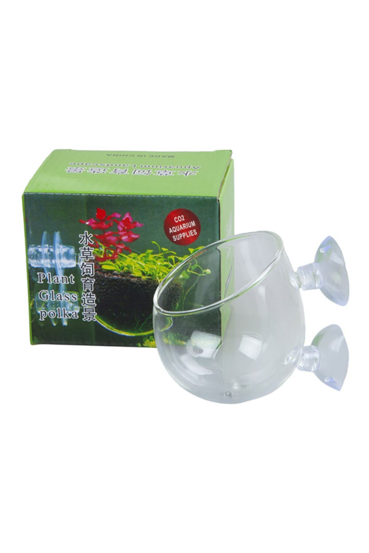 Marka Plant Glass Canlı Bitki Kabı