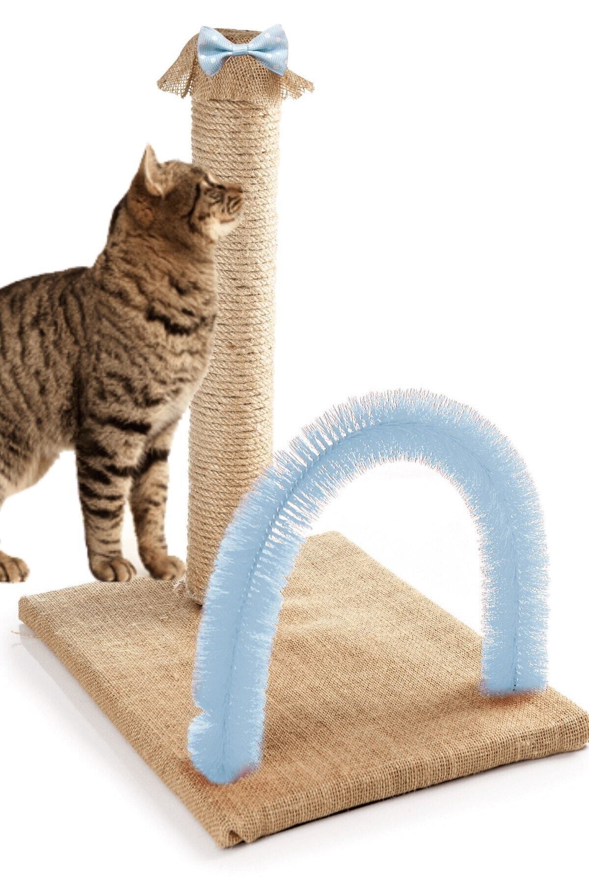 BYPET Mavi Kedi Kaşıma Ve Tırmalama Tahtası