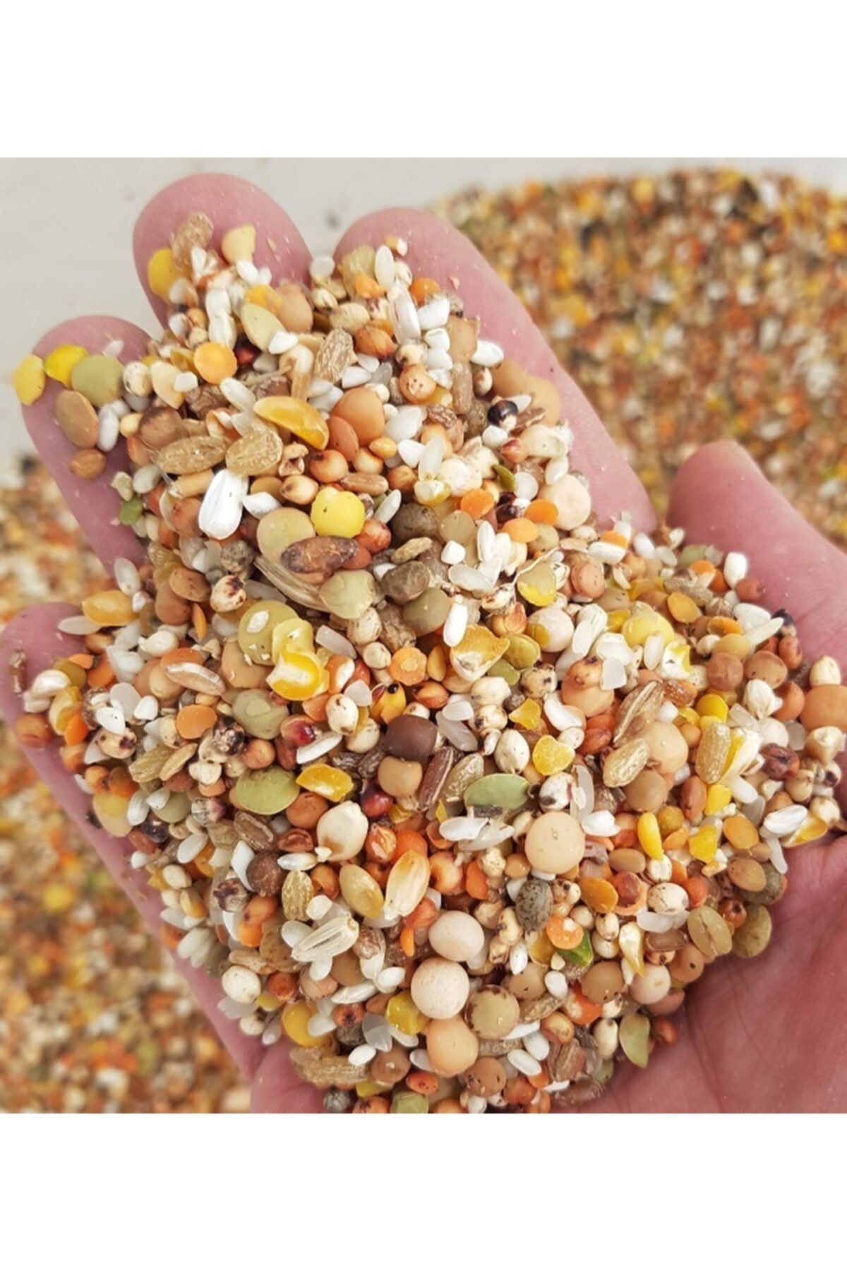 ekodoga guvercin yemi 10 kg 10 karisim yem luks guvercin yemi performans yemi bugdaysiz guvercin yem fiyati yorumlari trendyol