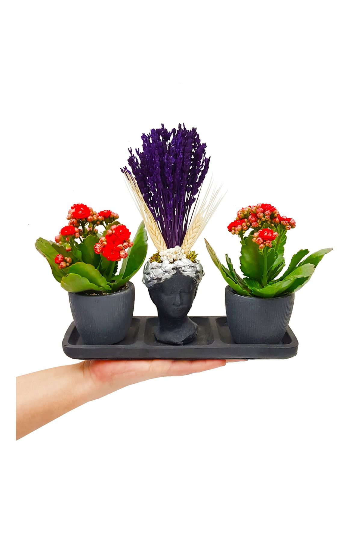 çiçekseli Helen Başaklı Lavanta Ve Kalanchoe Seti