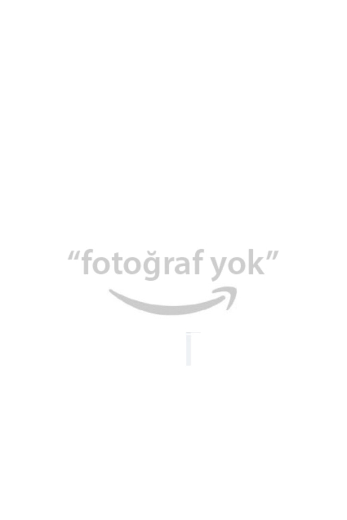 BRAXIS Arka Sol Fren Hortumu Picanto 04-11 (Abssiz Araclar Icin)-