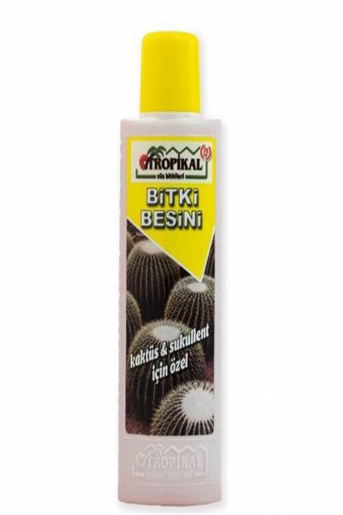 efidanci 4 Adet Kaktüs & Sukulent Bitki Besini 225 ML Bitki Vitamini