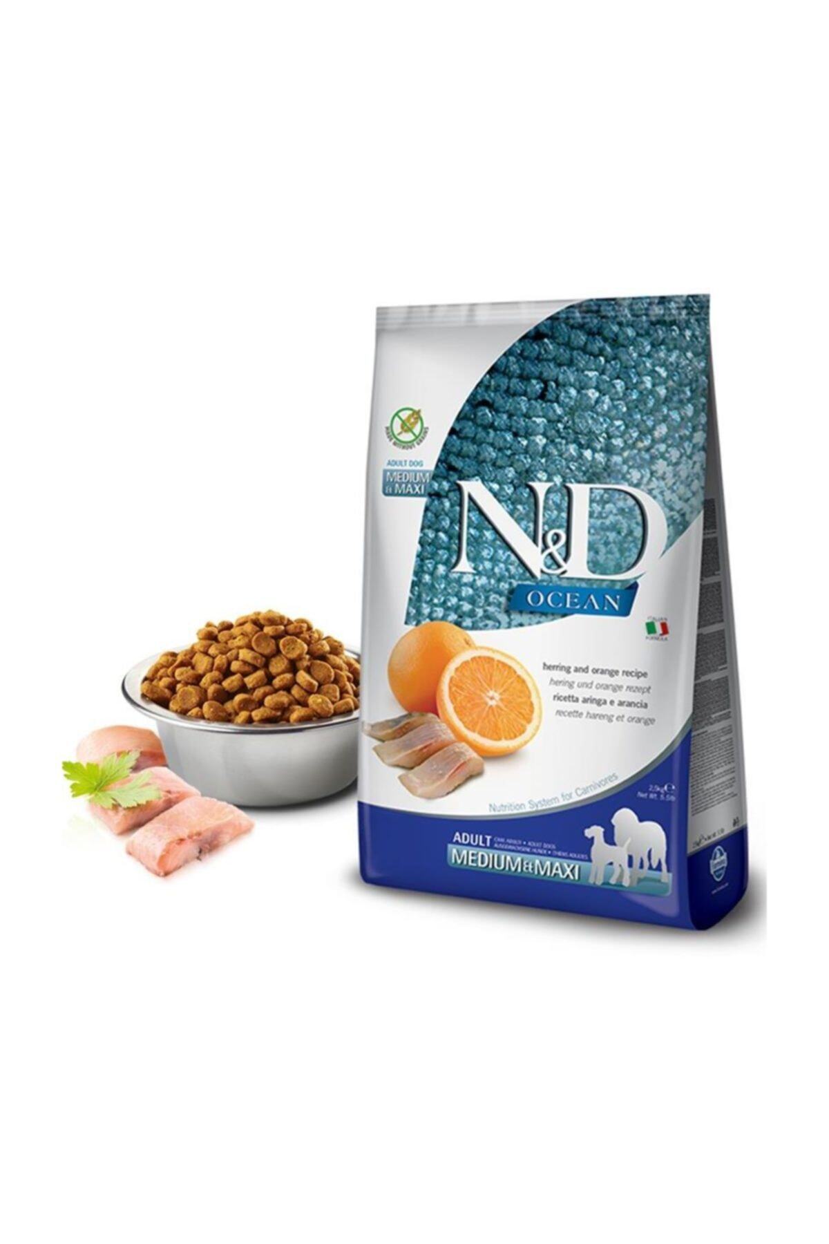 N&D Ocean Balıklı Portakallı Tahılsız Yetişkin Köpek Maması 2.5 kg