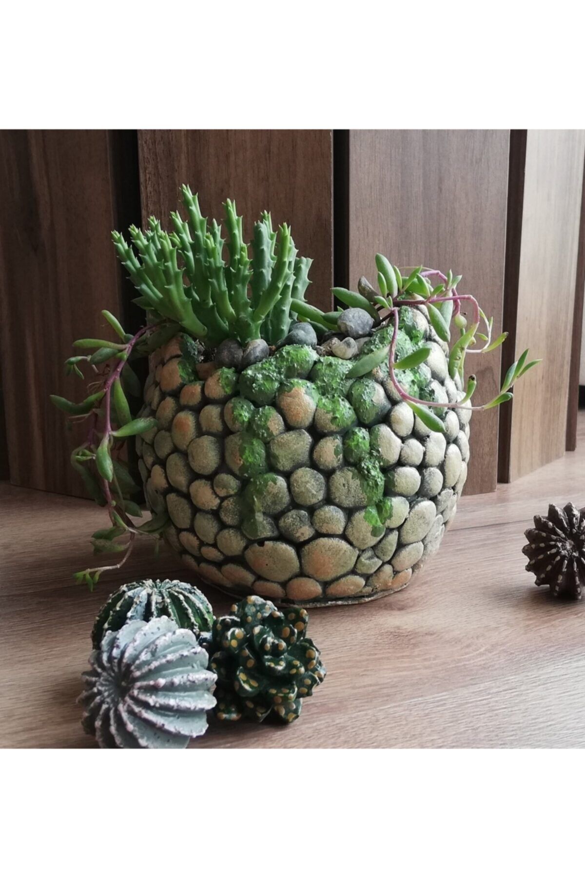 EYLÜL SUKULENT Saksı 3d Dekoratif Taş Modelli