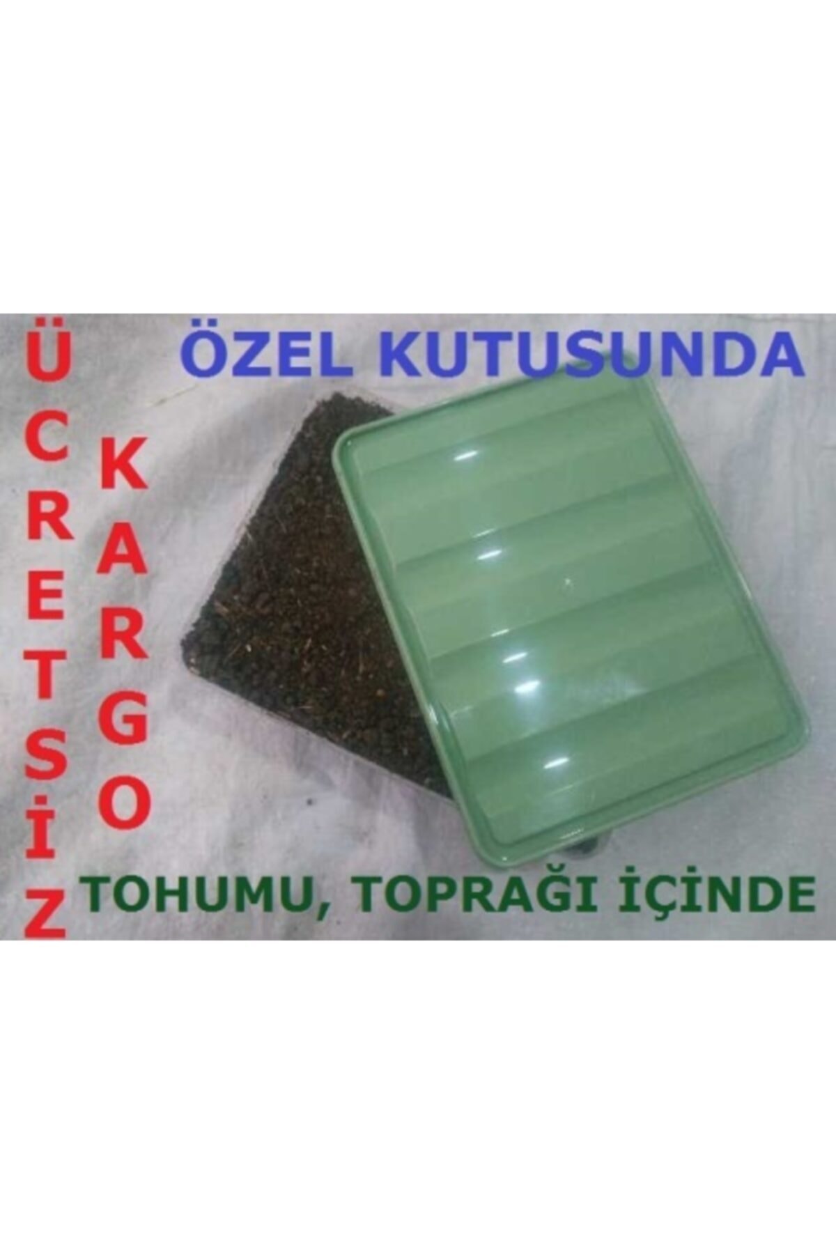 TohumGübre Beyaz Şapkalı Kültür Mantarı Tohumu Ekili Kutu Ve Yönerge