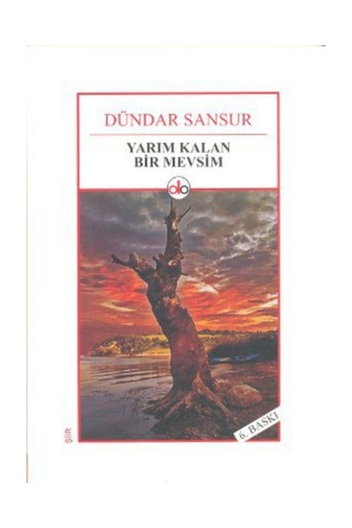 Do Yayınları Yarım Kalan Bir Mevsim