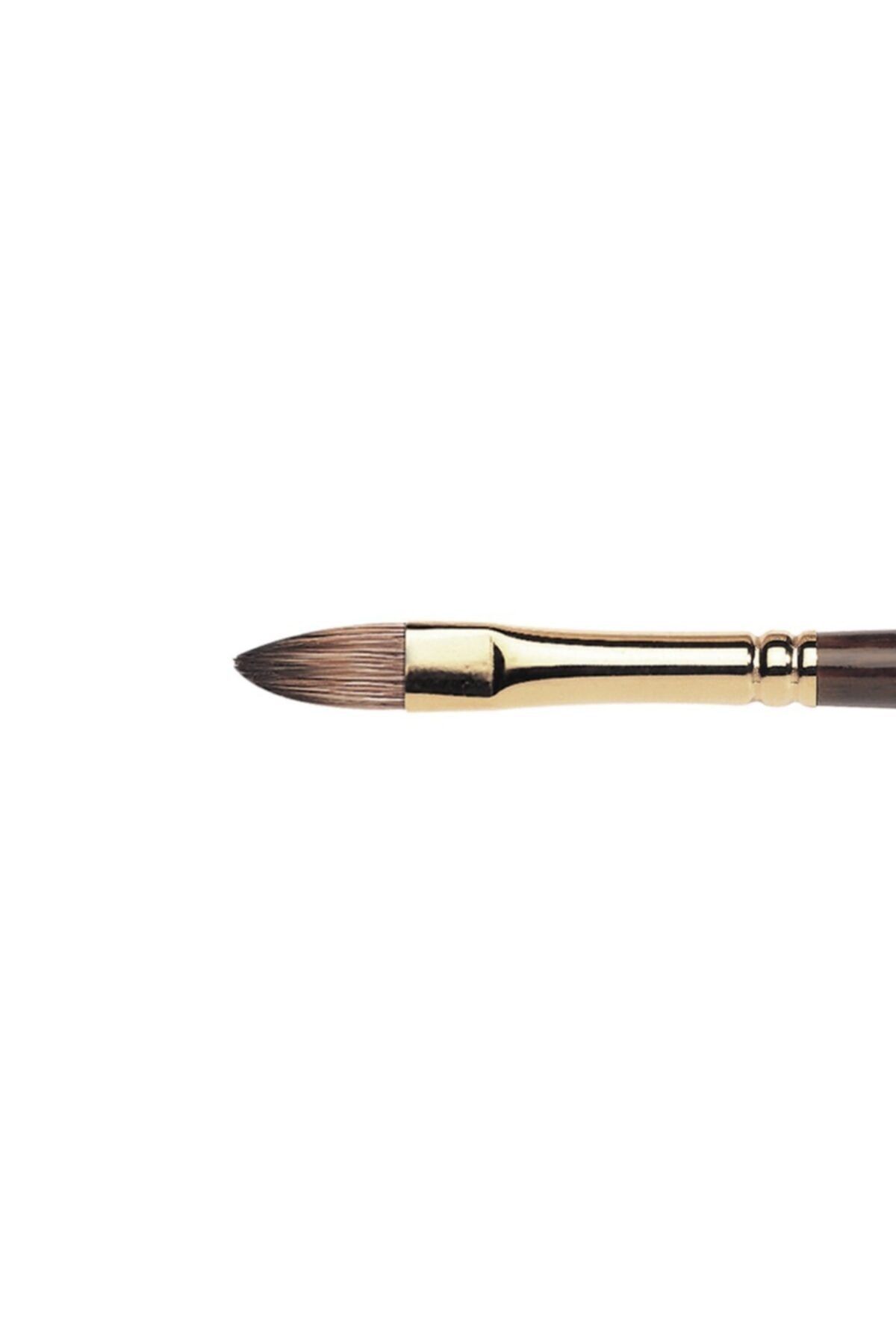 Winsor Newton Winsor & Newton : Monarch : Uzun Sap Kısa Kedi Dili Fırça No : 8