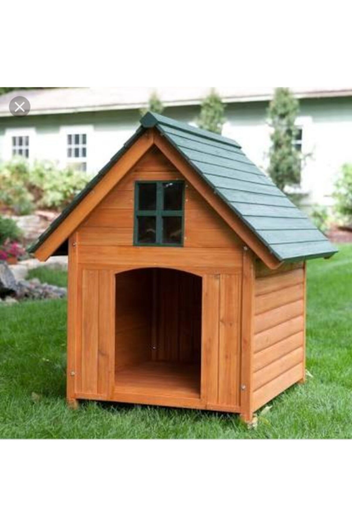 dost ahşap Köpek Evi