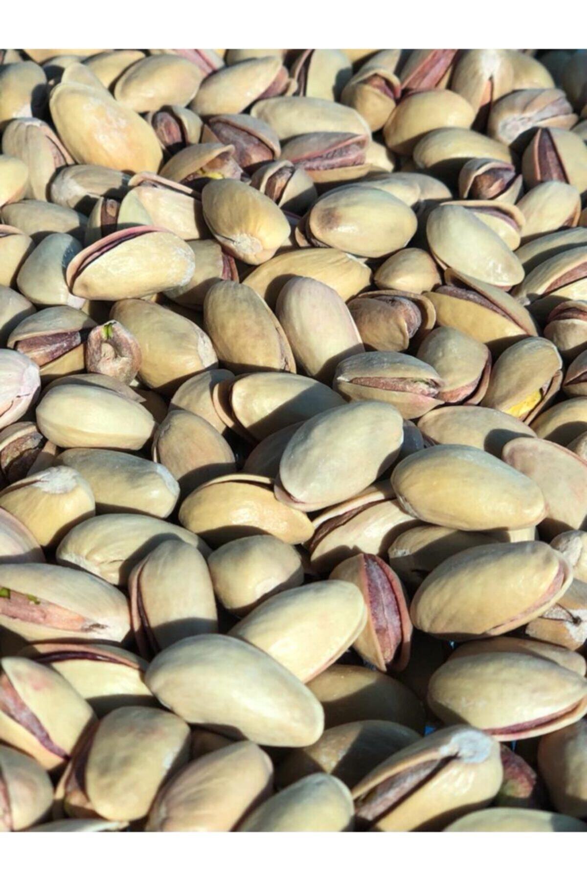 ALTINNEVA Ana Çıtlak Kavrulmuş Siir Fıstığı - 1000 gr