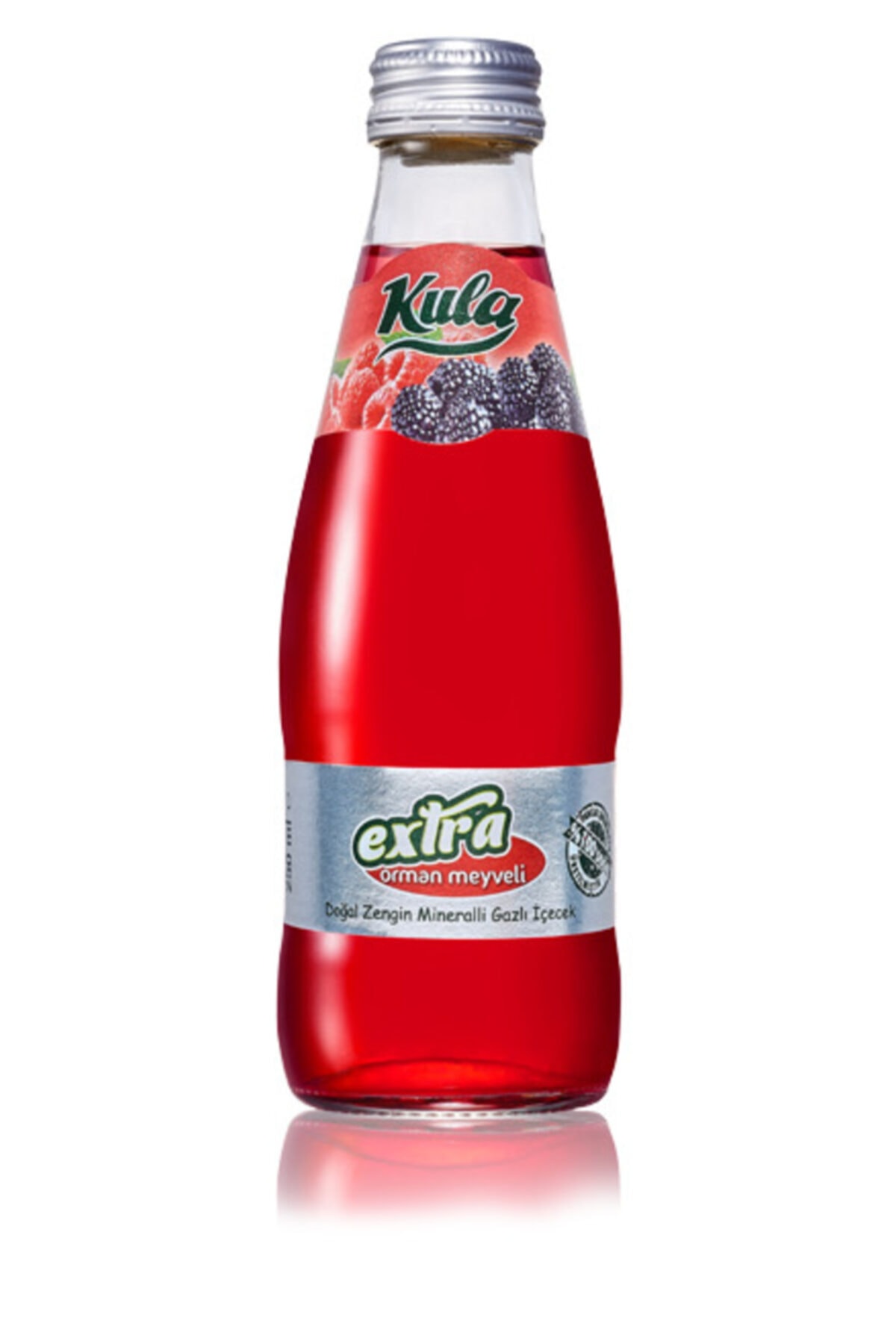 Kula 6 Adet Orman Meyve 200 ml