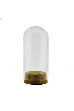 12 Adet 3,5 X 8cm Küçük Cam Ters Şişe Fanus Terrarium Image 0