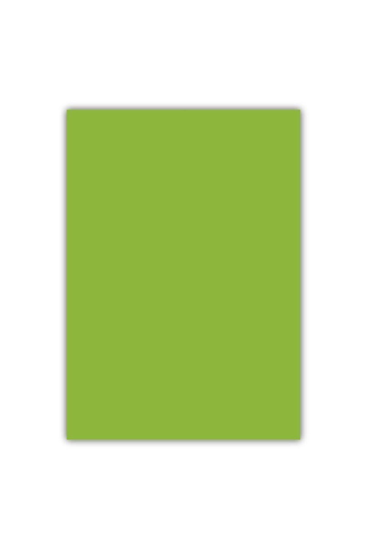 Bigpoint Cılt Kapagı A4 Opak Acık Yesıl 100'lu