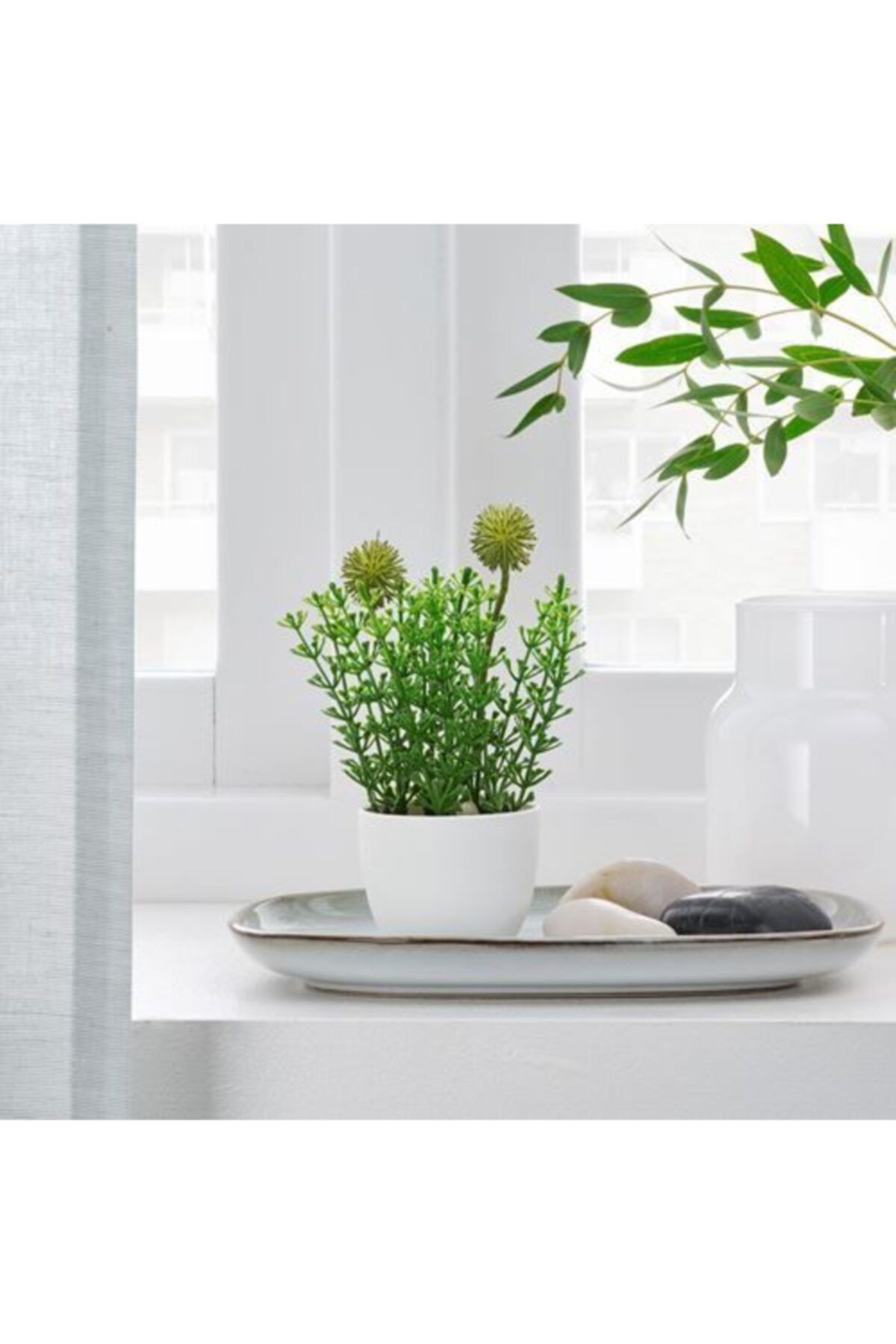 ikea yapay saksili bitki cim meridyendukkan 6cm 1adet fiyati yorumlari trendyol