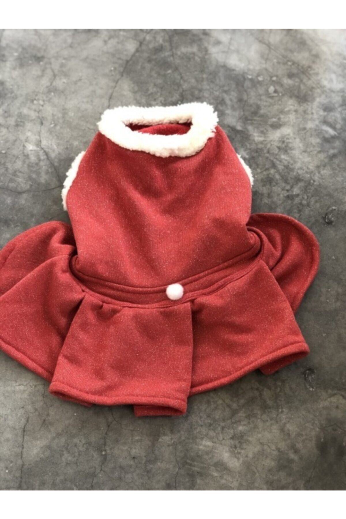 Miss Daisy Pet Boutique Simli Peluş Yaka Elbise