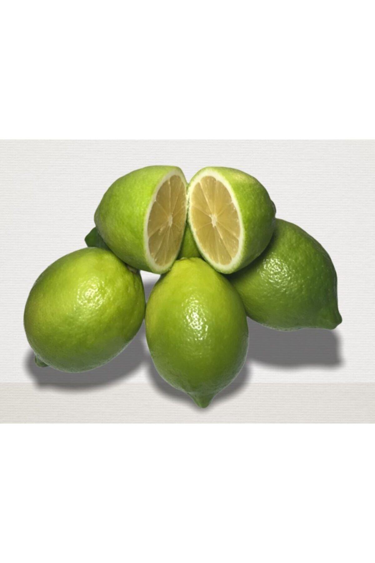 EVİM BAHÇEM Yeşil Limon Dalından Taze Meyve 7 Kg