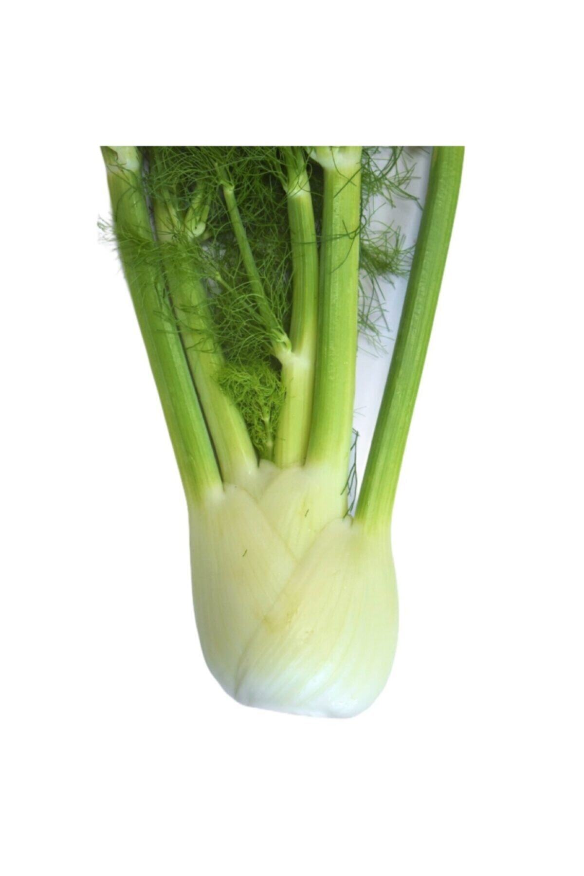Erüst Tarım Fencel Rezene (Fennel) 5'li