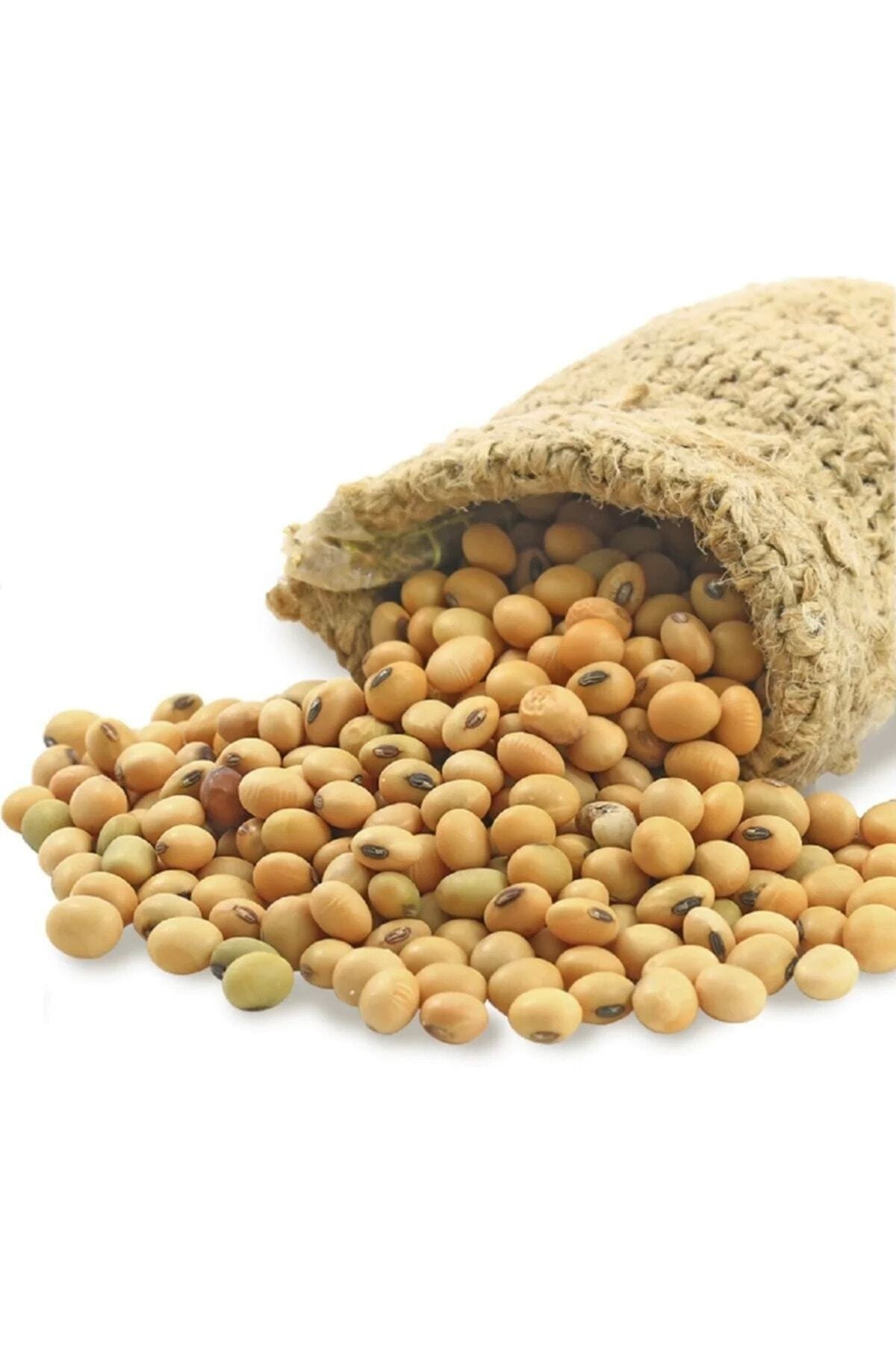 AKTARFAN Soya Fasülyesi 100 gr