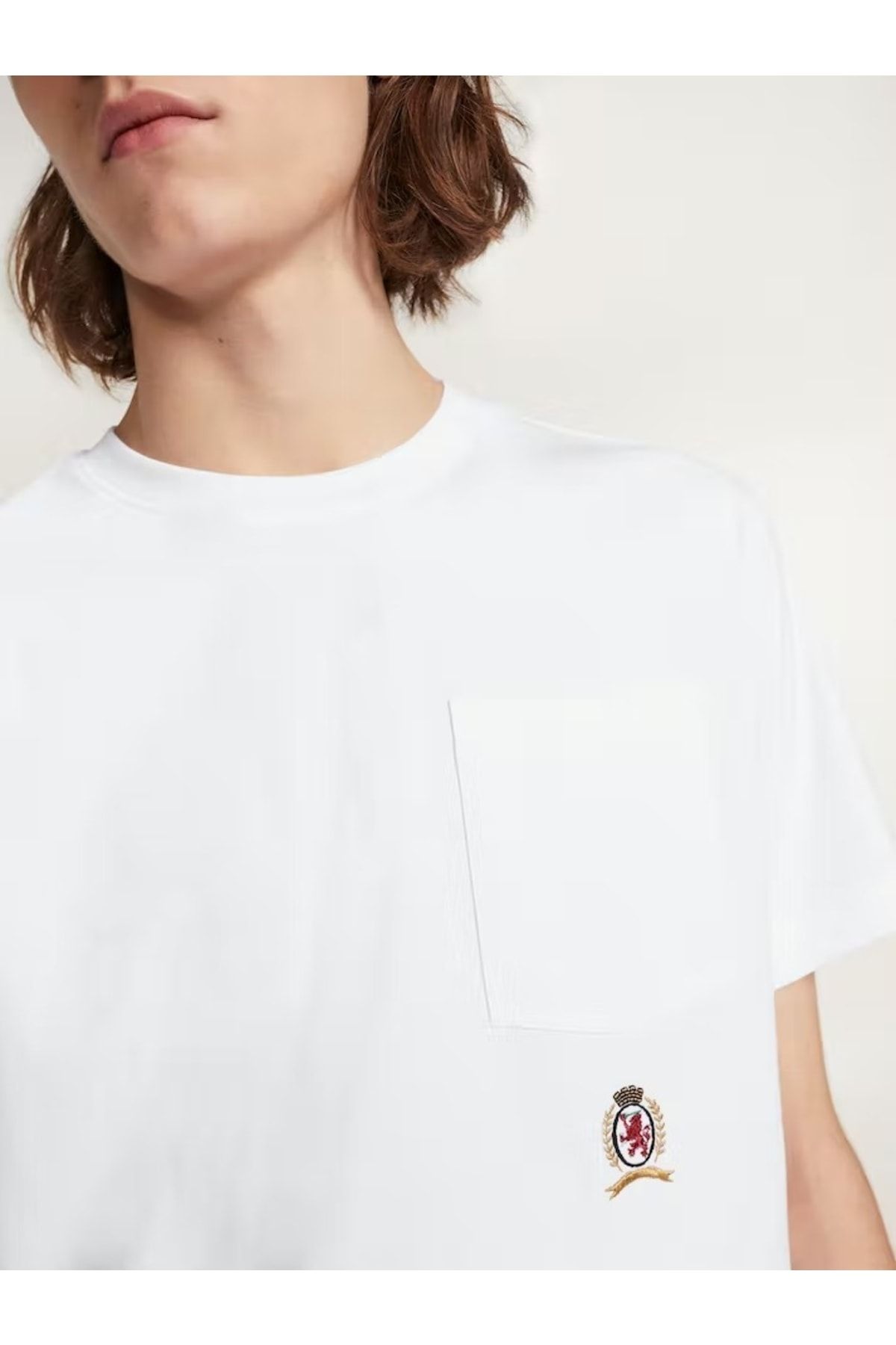 Tommy crest shop collection