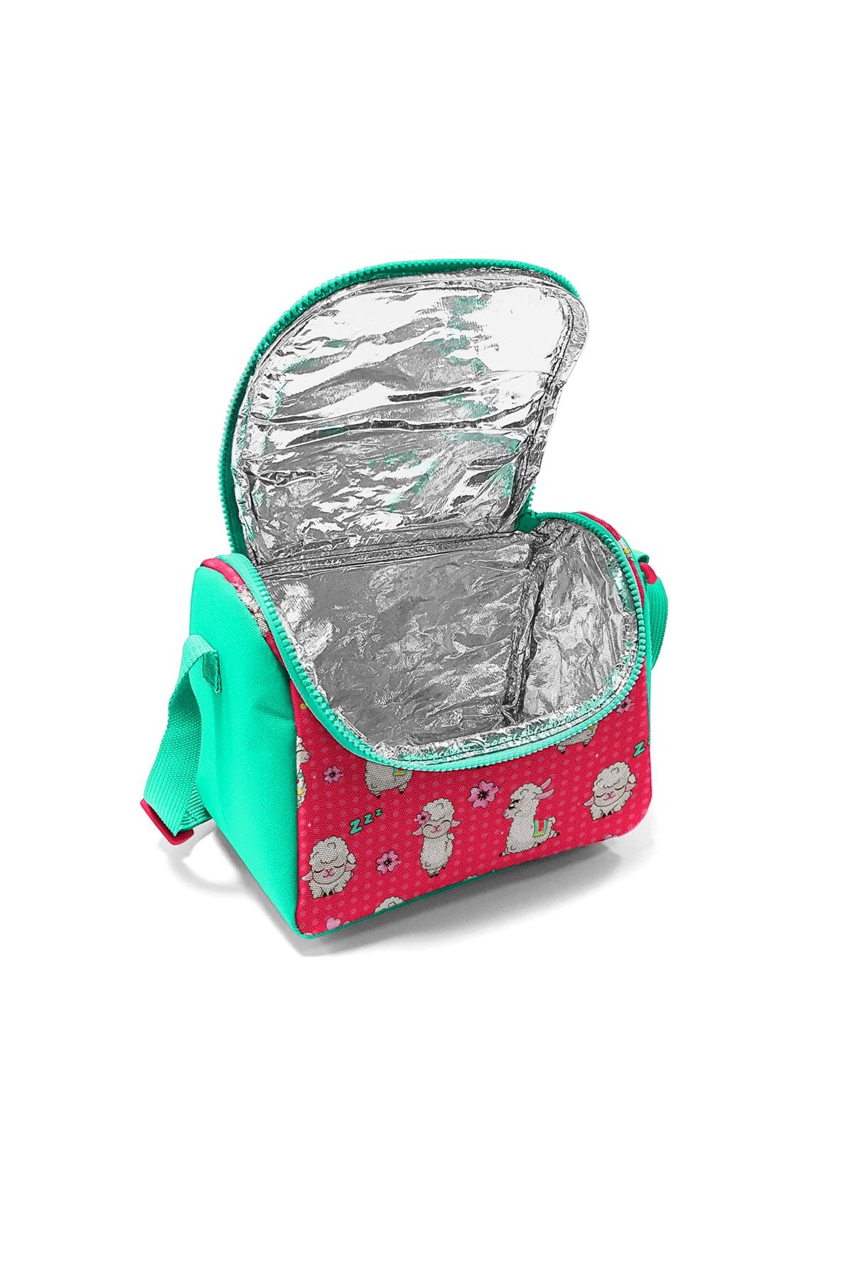 Coral High Coral Water Green Alpaca Four Compartment Primary