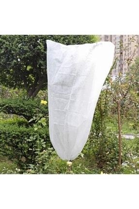 Ağaç Koruma Torbası 1 Adet 1,20x2,40 Metre 1 Adet Don Kırağı Örtüsü Agril 30gr Image 0