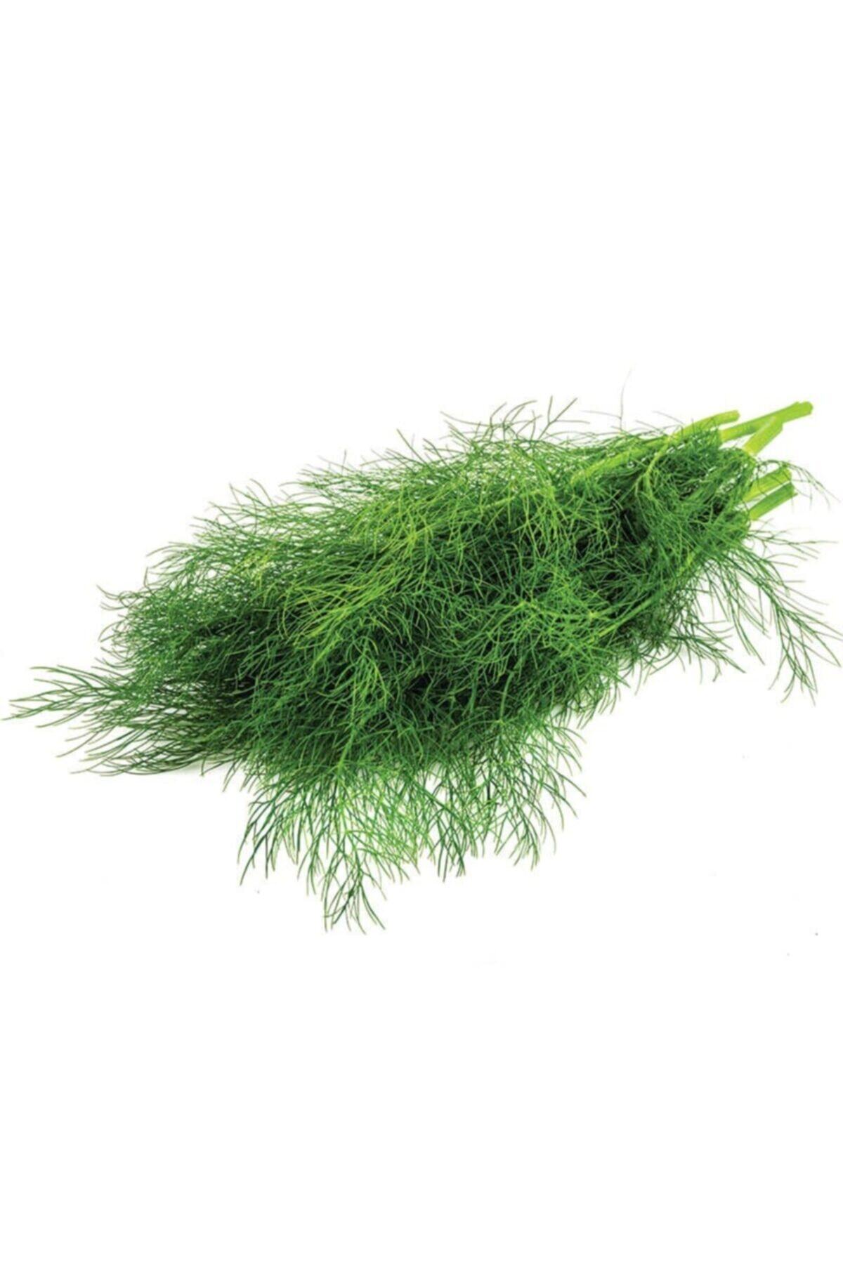 antalyasebzemeyve Arapsaçı 150 Gr