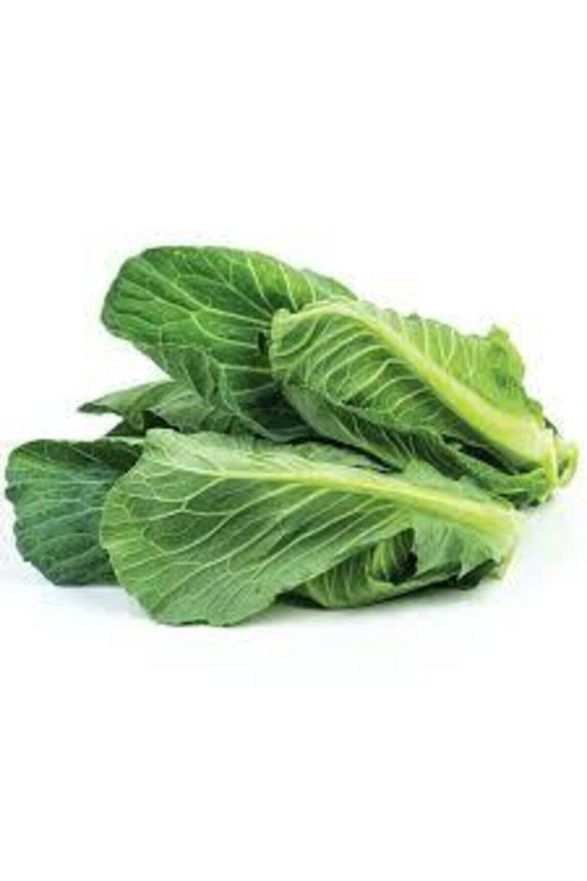 antalyasebzemeyve Cibes 150 gr