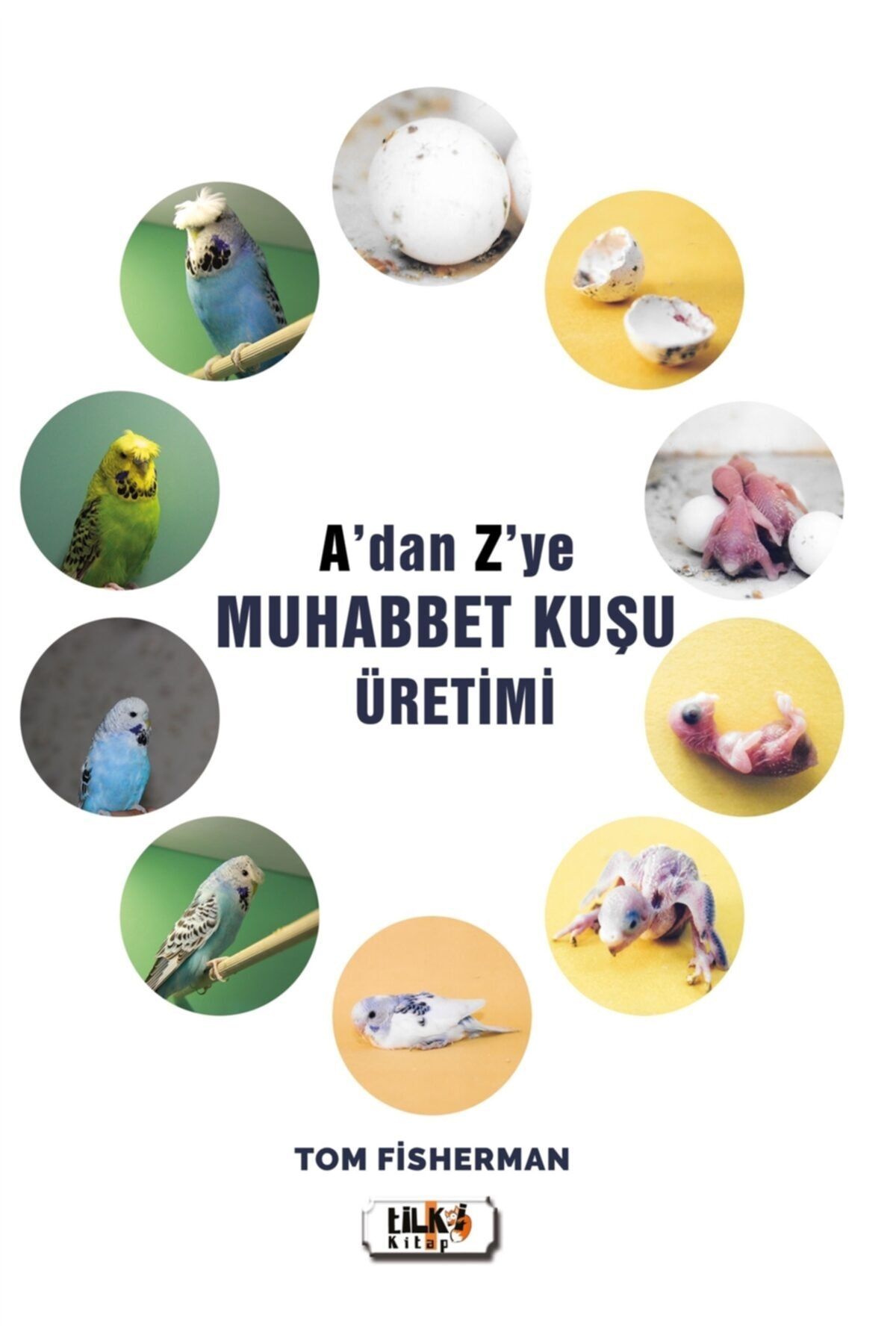 tilki kitap a dan z ye muhabbet kusu uretimi tom fisherman 9786257942256 fiyati yorumlari trendyol