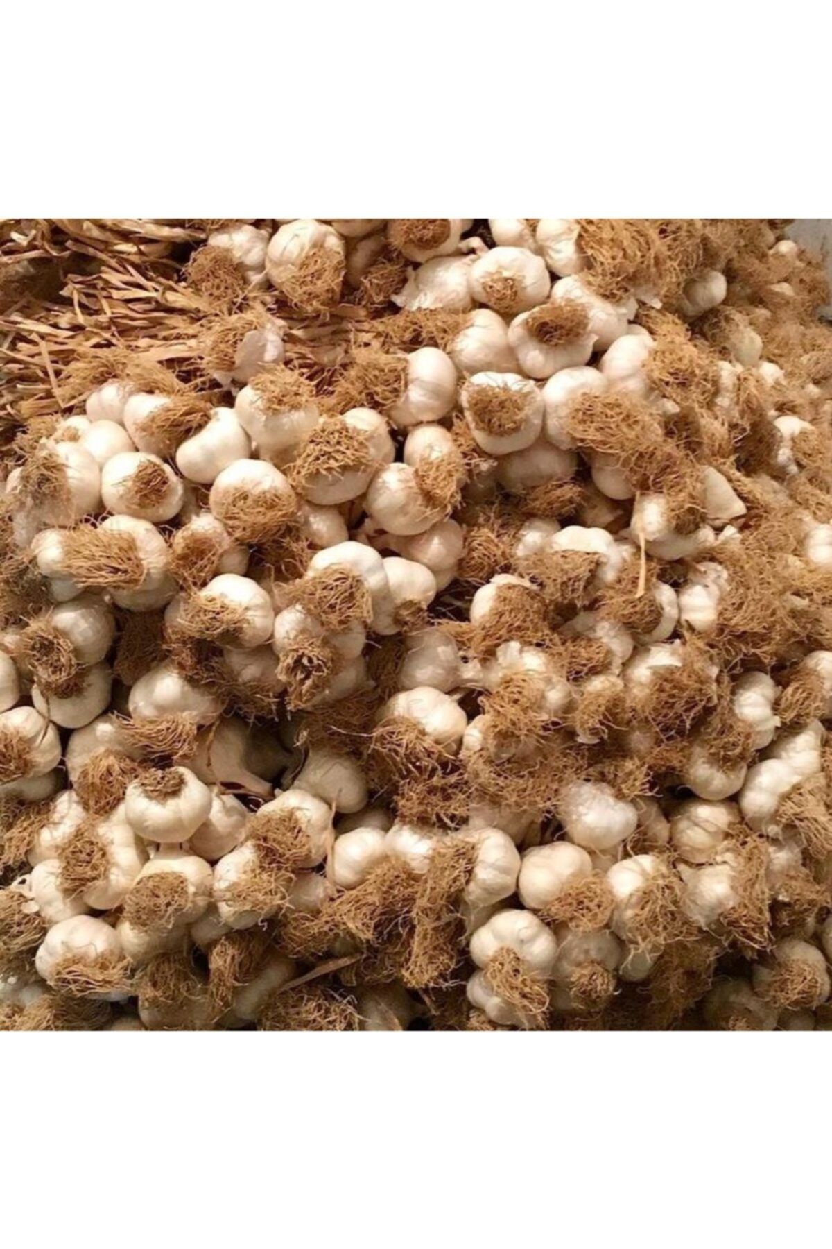 sarımsak Taşköprü Sarımsağı Iri Boy 1 Kg