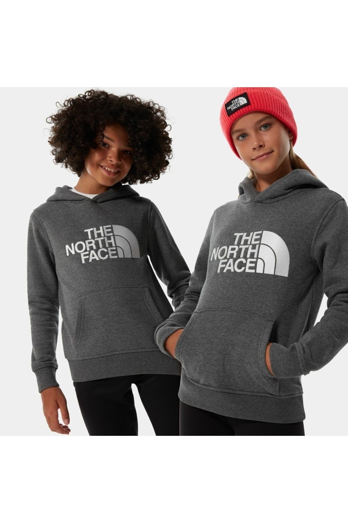 The north face discount surgent beanie
