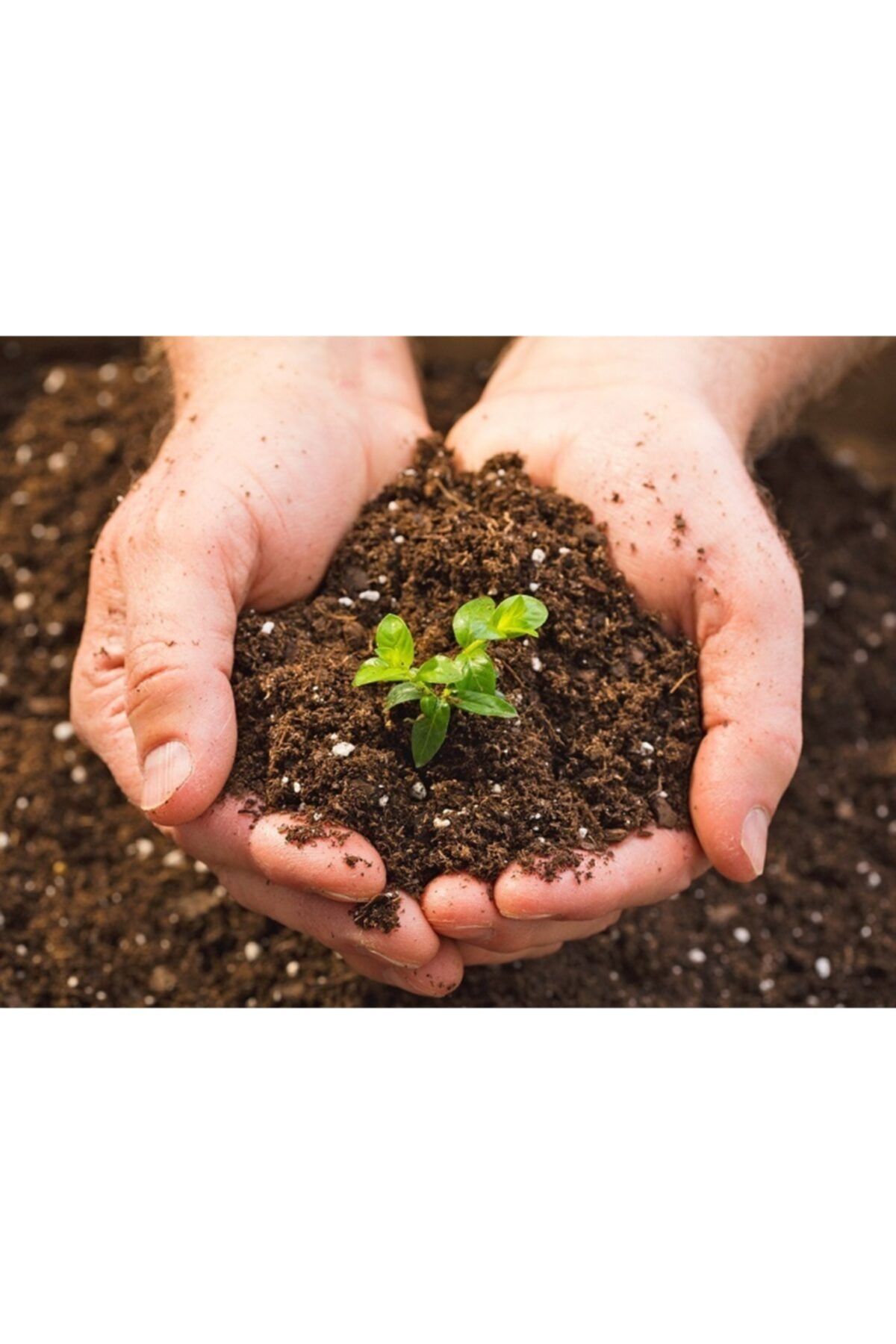Asenya Torf 3 Lt 2 Adet Çiçek Toprağı Saksı Toprağı Bitki Toprağı Perlit Karışımlı Torf Toprak