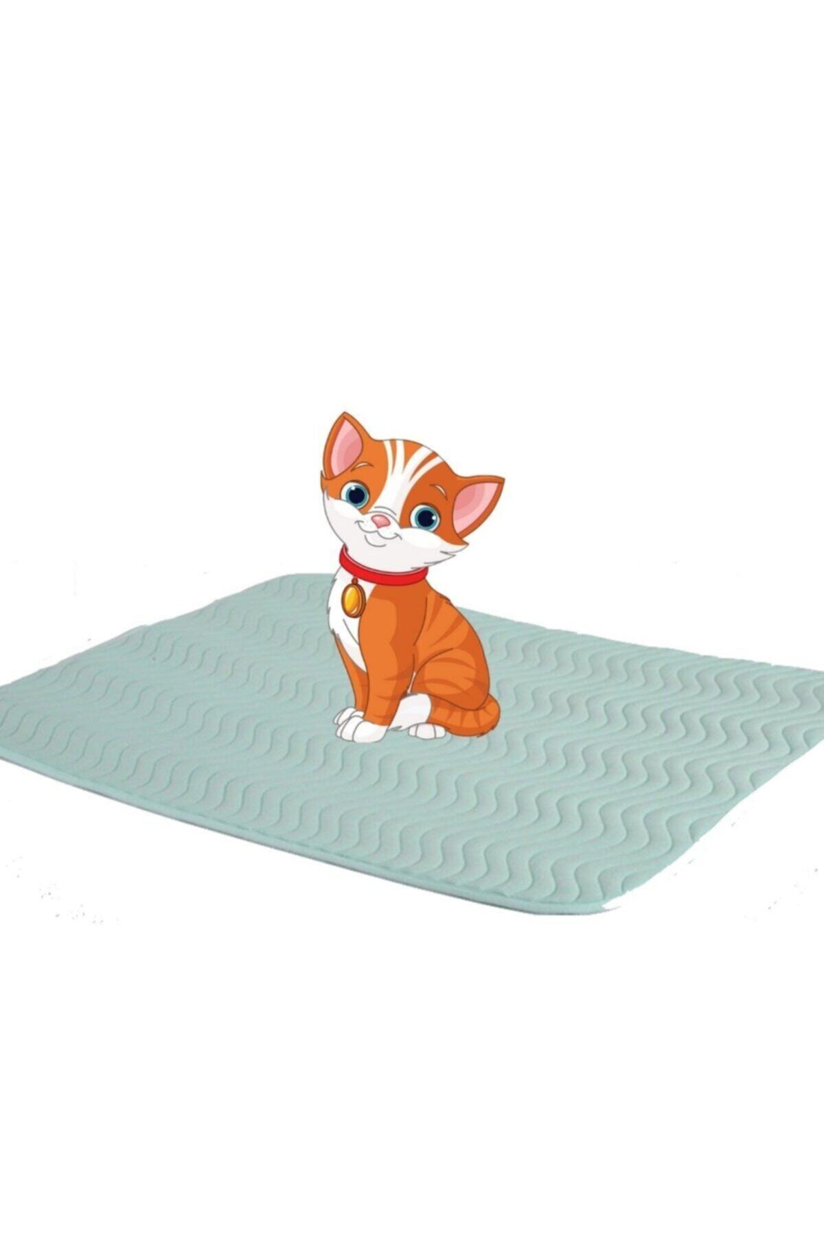CARETEX Abso Vinyl Kediler Için Sıvı Geçirmez,yıkanabilir Koruyucu Örtü 075x090